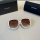 DG Glasses