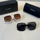 DG Glasses