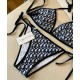 Dior Swimsuit Dior Swimsuit