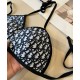Dior Swimsuit Dior Swimsuit