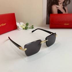 Cartier Glasses