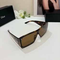 Dior Glasses