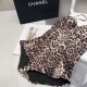 DG Swimsuit DG Swimsuit