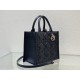 Dior Bags Top Tote Dior Bags Top Tote