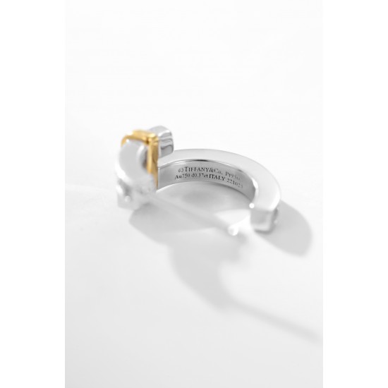 DG Jewelry Earrings DG Jewelry Earrings