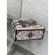 Dior Bags Top Quality
Five Grid Dior Bags Top Quality
Five Grid
