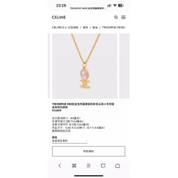 Celine Jewelry Necklace