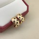 Cartier Jewelry High Quality Cartier Jewelry High Quality