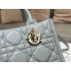 Dior Bags Top Tote Dior Bags Top Tote