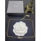 YSL Jewelry High Quality YSL Jewelry High Quality