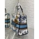 Dior Bags Top Quality
Five Grid Dior Bags Top Quality
Five Grid