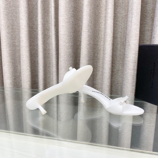 Alexander Wang Shoes Top Quality Alexander Wang Shoes Top Quality
