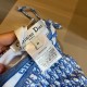 Dior Swimsuit