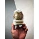 Asics Shoes Top Quality