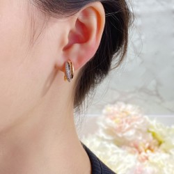 Cartier Jewelry Earrings