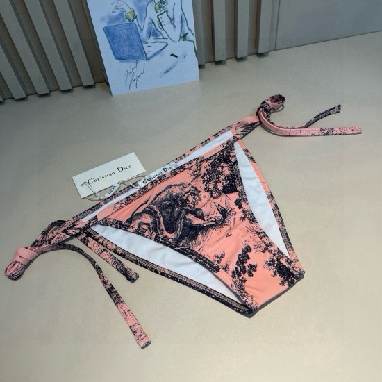 Dior Swimsuit Dior Swimsuit