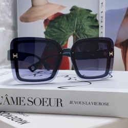 Hermes Glasses