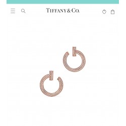 Tiffany Jewelry Earrings