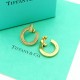 Tiffany Jewelry Earrings Tiffany Jewelry Earrings