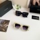 DG Glasses