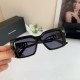 DG Glasses