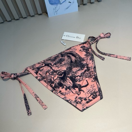 Dior Swimsuit Dior Swimsuit