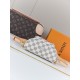 LV Bags Top Quality Mini Bumbag LV Bags Top Quality Mini Bumbag