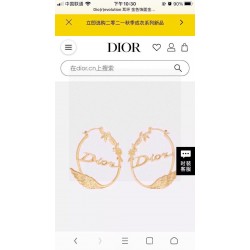 Dior Jewelry Earrings