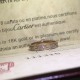 Cartier Jewelry High Quality Cartier Jewelry High Quality