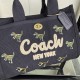 Coach Bags High Quality Coach Bags High Quality