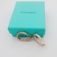 Tiffany Jewelry Earrings Tiffany Jewelry Earrings