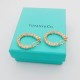 Tiffany Jewelry Earrings Tiffany Jewelry Earrings
