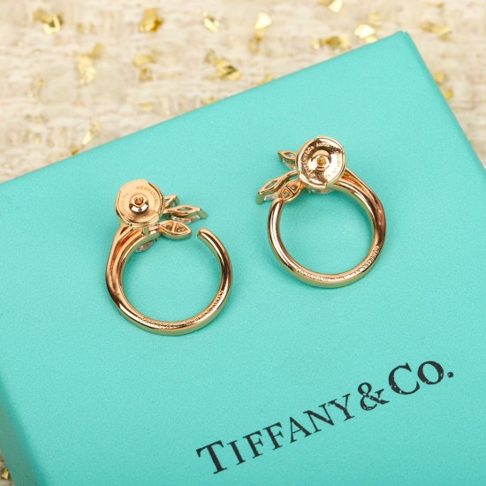 Tiffany Jewelry Earrings Tiffany Jewelry Earrings