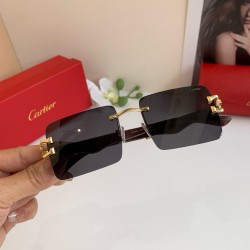 Cartier Glasses