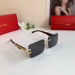 Cartier Glasses