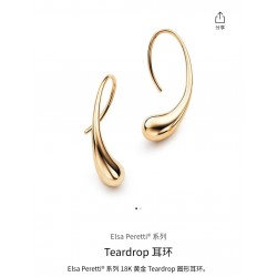 Tiffany Jewelry Earrings