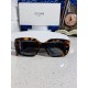 Celine Glasses Celine Glasses