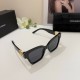 DG Glasses