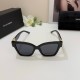 DG Glasses