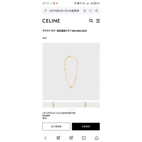 Celine Jewelry Necklace Celine Jewelry Necklace