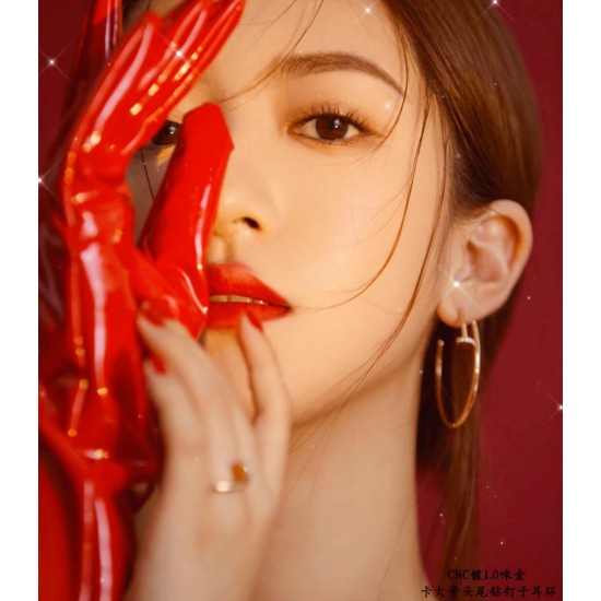 Cartier Jewelry Earrings Cartier Jewelry Earrings