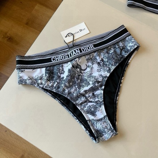 Dior Swimsuit