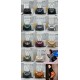 Balenciaga Collection Top Quality
