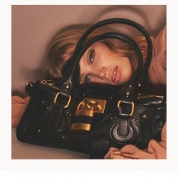 Chloe Collection Top Quality
