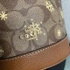 Coach Women's Bags