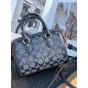 Coach Women's Bags