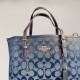 Coach Women's Bags