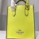 Coach Women's Bags