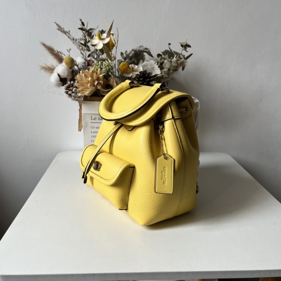 Coach Women's Bags