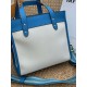 Coach Women's Bags
